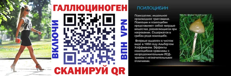 Галлюциногенные грибы Psilocybine cubensis  кракен ONION  Аткарск 
